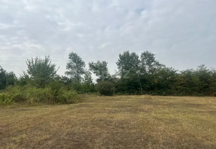0 m² Obyekt / Ofis , Qəbələ