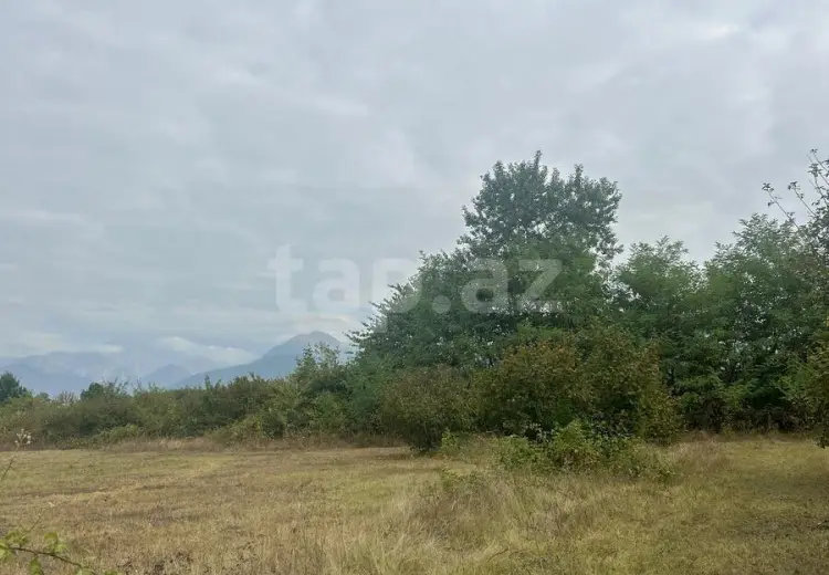 0 m² Obyekt / Ofis , Qəbələ