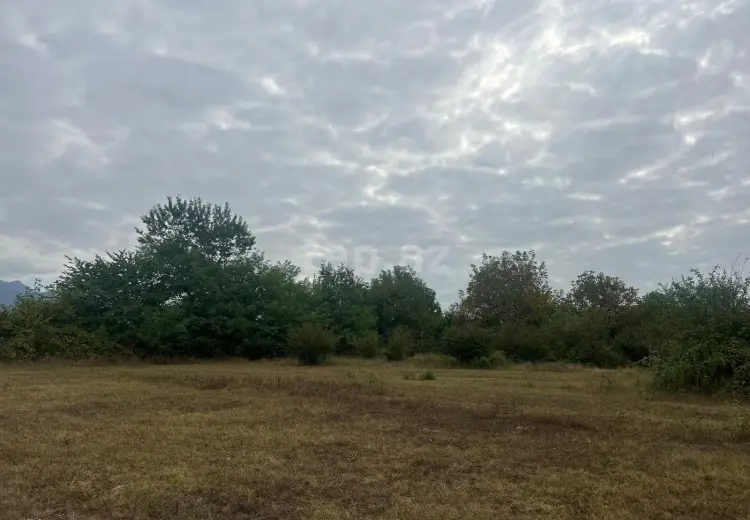 0 m² Obyekt / Ofis , Qəbələ