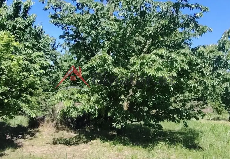 0 sot Torpaq Satılır, Xaçmaz
