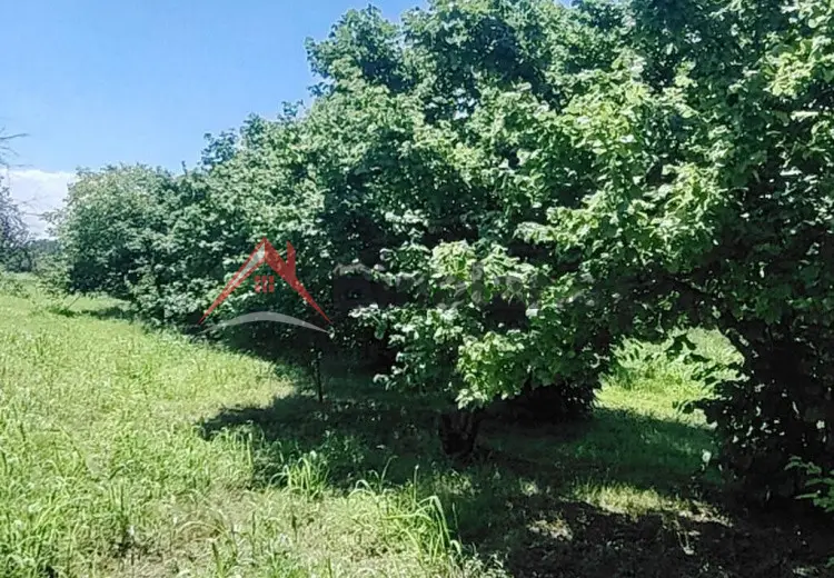 0 sot Torpaq Satılır, Xaçmaz