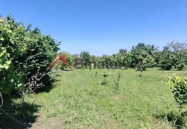 0 sot Torpaq Satılır, Xaçmaz