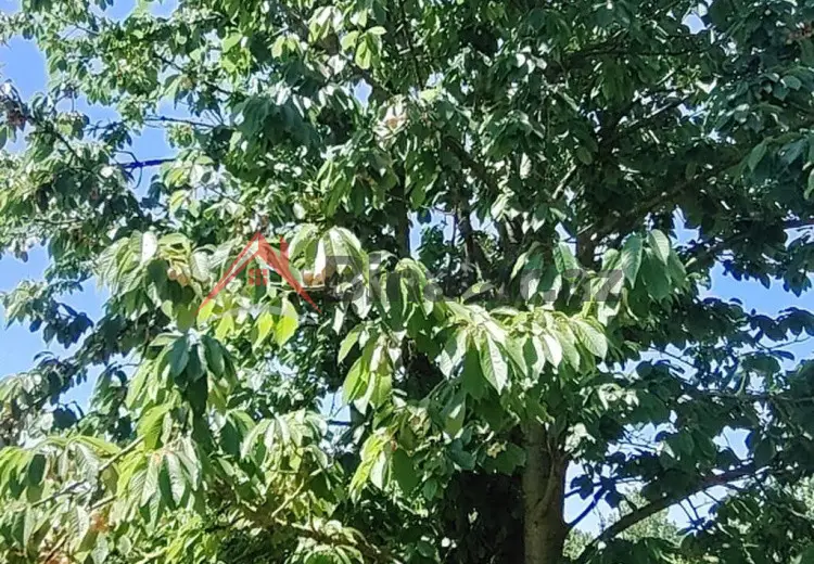 0 sot Torpaq Satılır, Xaçmaz