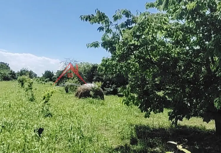 0 sot Torpaq Satılır, Xaçmaz