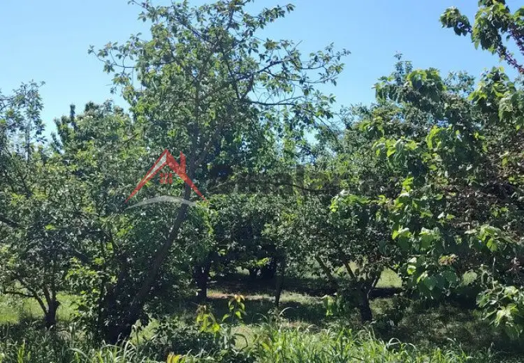 0 sot Torpaq Satılır, Xaçmaz