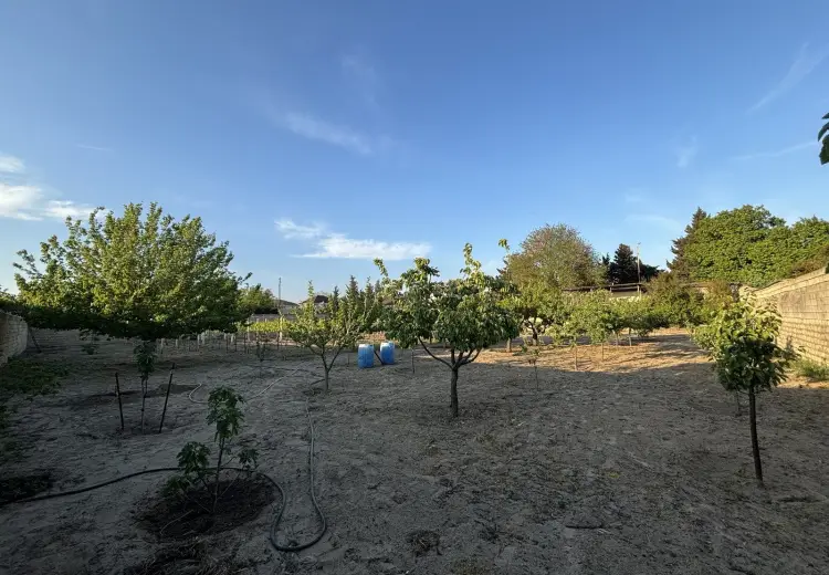 28 sot Torpaq Satılır, Novxanı, Abşeron