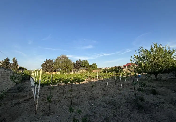 28 sot Torpaq Satılır, Novxanı, Abşeron