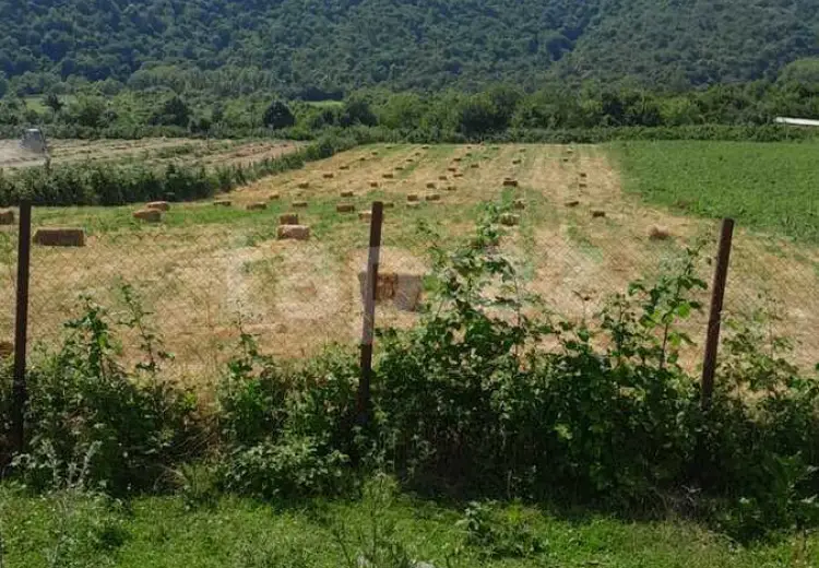 0 m² Obyekt / Ofis , Zaqatala