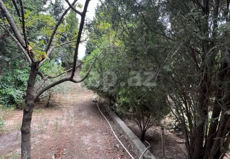 0 m² Obyekt / Ofis , Məştağa qəs., Sabunçu, Bakı