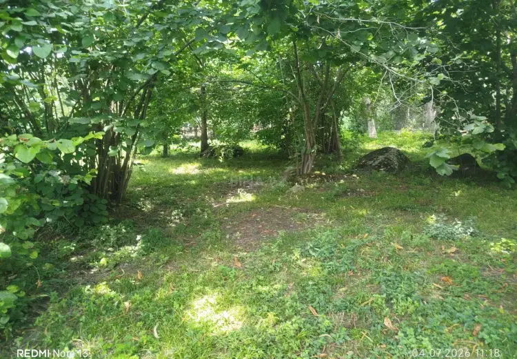 14 sot Torpaq Satılır, Qəbələ