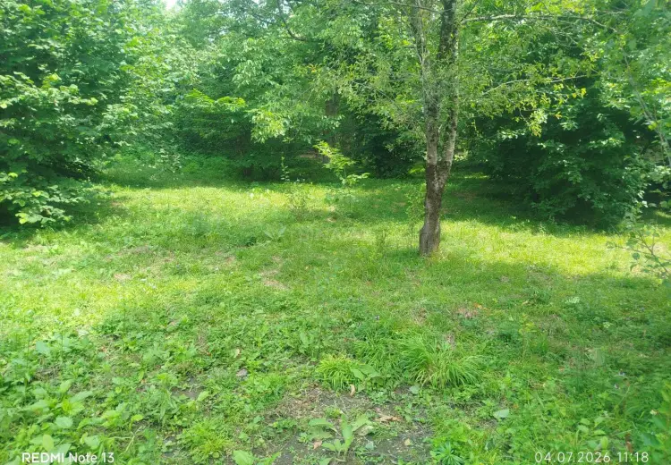 14 sot Torpaq Satılır, Qəbələ