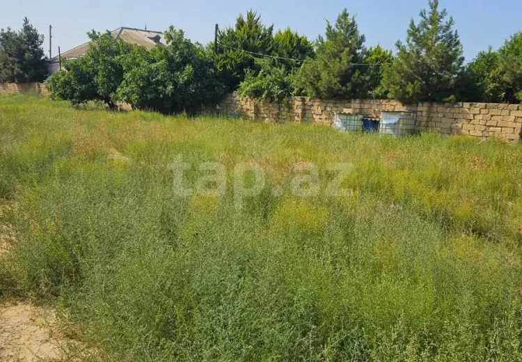 0 m² Obyekt / Ofis , Bakı