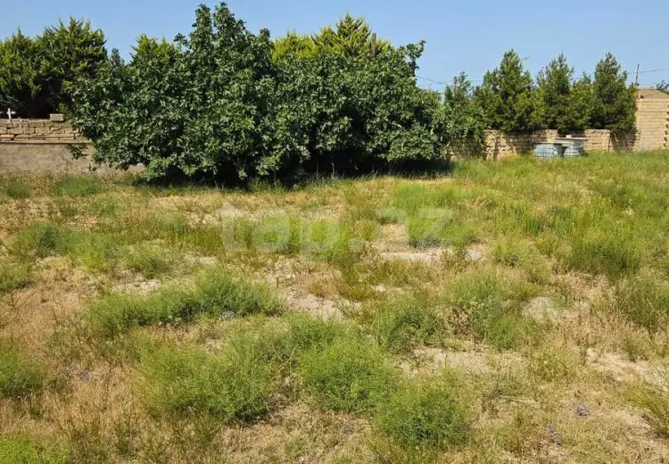 0 m² Obyekt / Ofis , Bakı