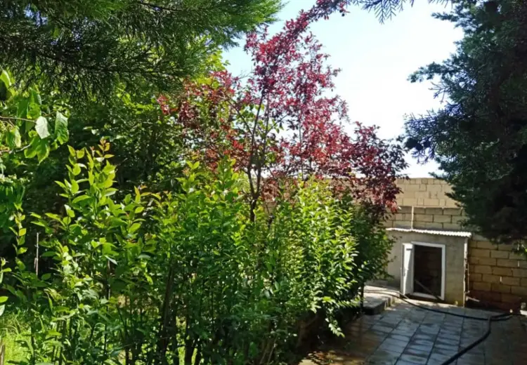 7 otaqlı mənzil Satılır, Nabran