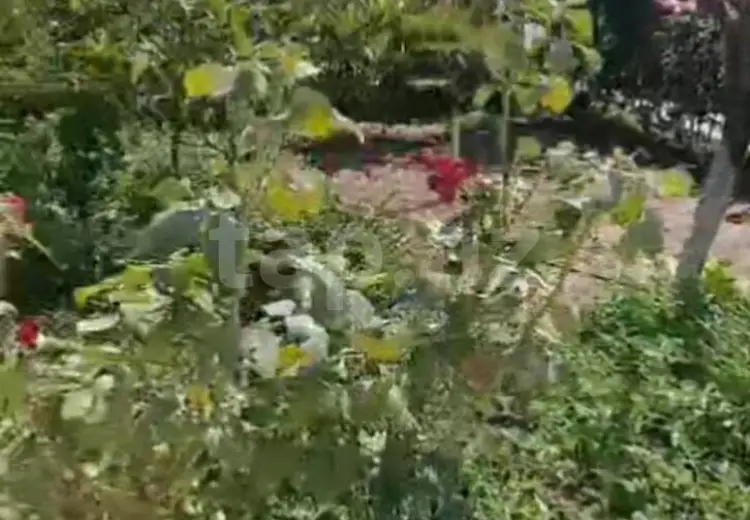 3 otaqlı mənzil , Bakı