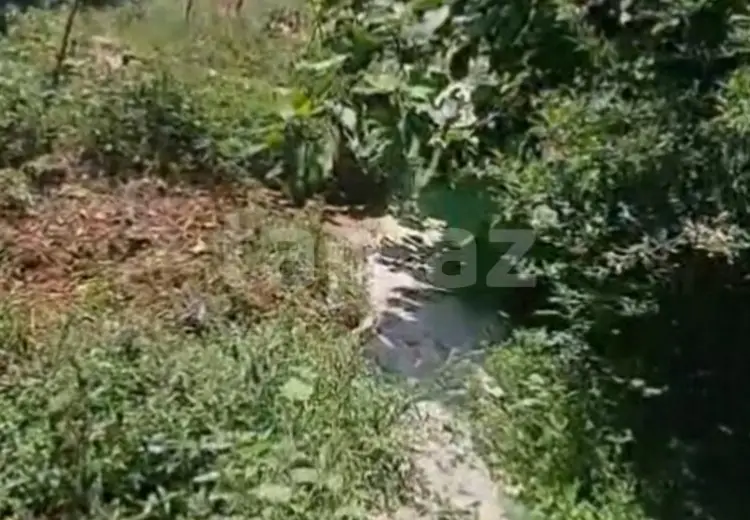 3 otaqlı mənzil , Bakı