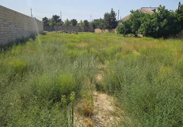 10 sot Torpaq Satılır, Goradil, Abşeron