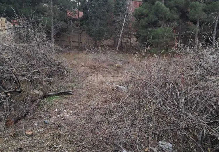 6 sot Torpaq Satılır, Biləcəri qəs., Binəqədi, Bakı