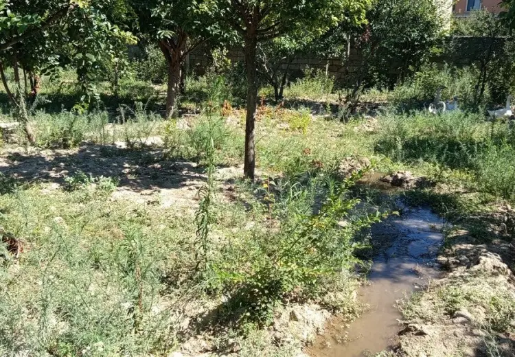 4 sot Torpaq Satılır, Məştağa qəs., Sabunçu, Bakı