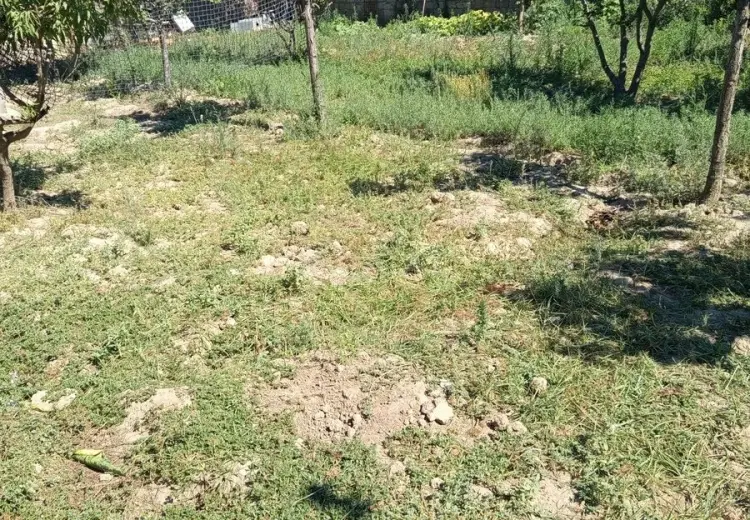 4 sot Torpaq Satılır, Məştağa qəs., Sabunçu, Bakı