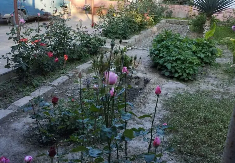 5 otaqlı mənzil , Xaçmaz
