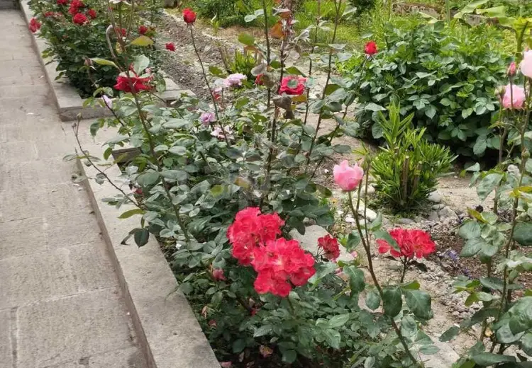 5 otaqlı mənzil , Xaçmaz