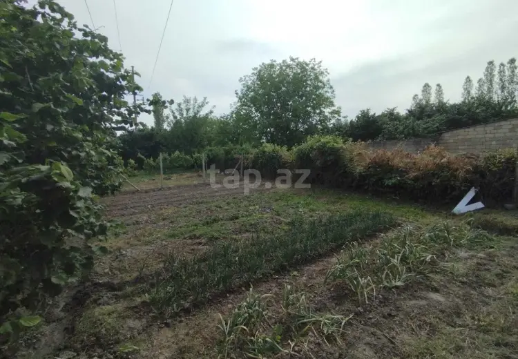 5 otaqlı mənzil , Xaçmaz