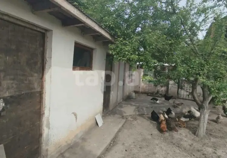 5 otaqlı mənzil , Xaçmaz