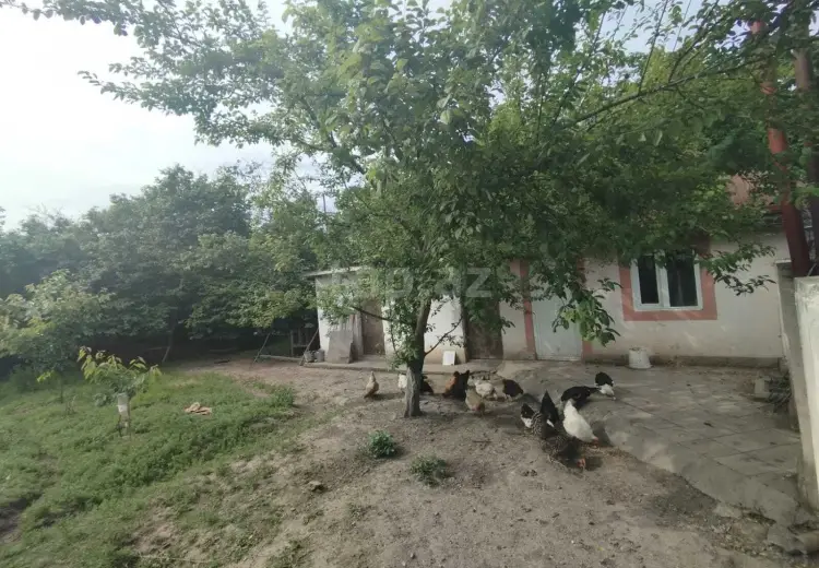 5 otaqlı mənzil , Xaçmaz