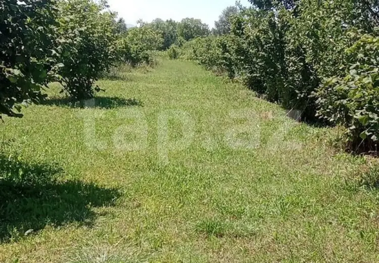 0 m² Obyekt / Ofis , Şəki