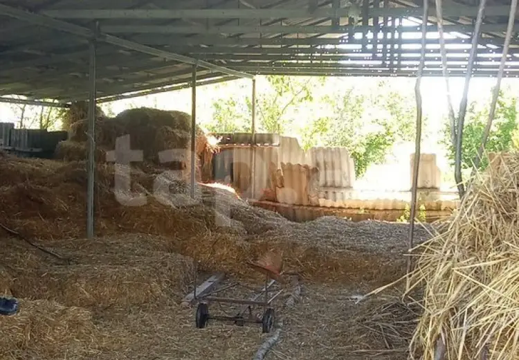 0 m² Obyekt / Ofis , Şəki