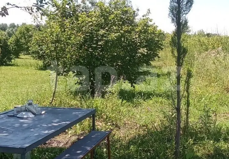 0 m² Obyekt / Ofis , Şəki