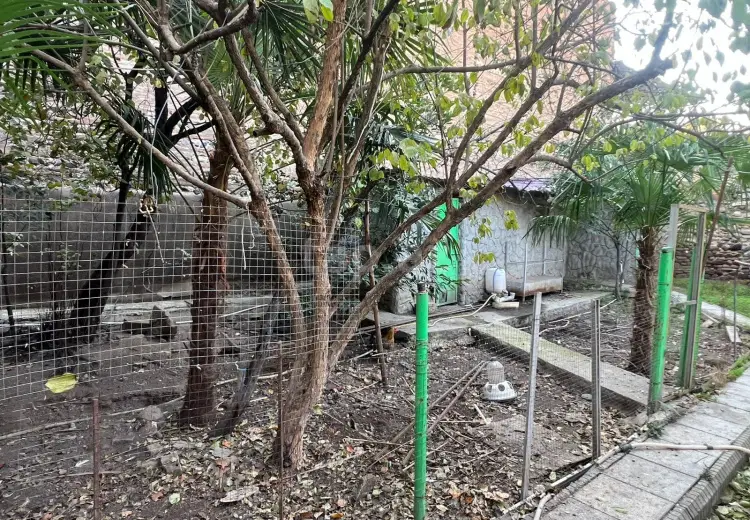 10 otaqlı mənzil , Gəncə