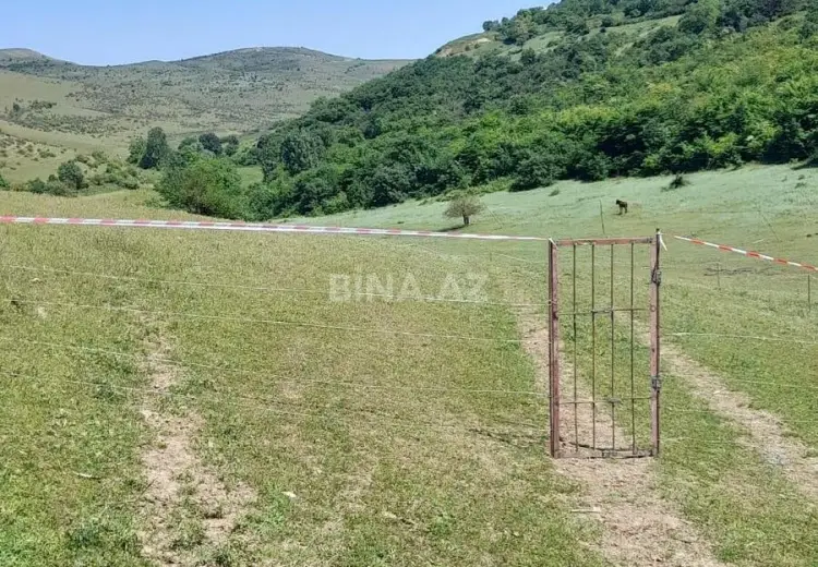 12 sot Torpaq Satılır, Şabran