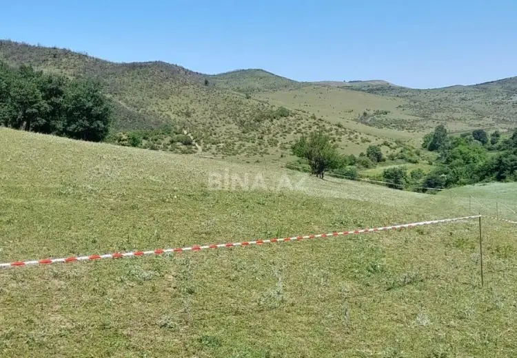 12 sot Torpaq Satılır, Şabran