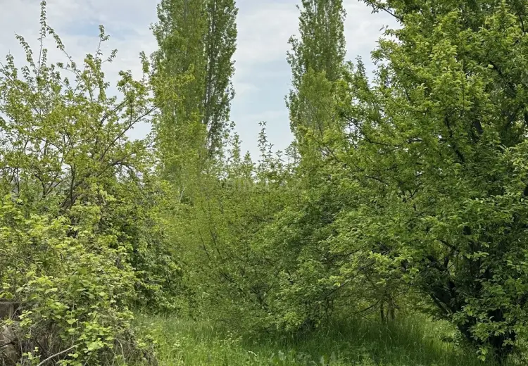 32 sot Torpaq Satılır, Göygöl