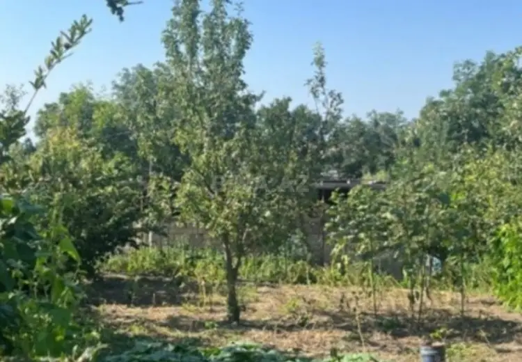 12 sot Torpaq Satılır, Şamaxı