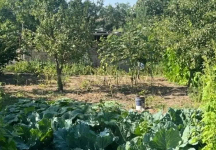 12 sot Torpaq Satılır, Şamaxı