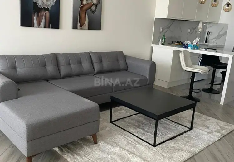 2 otaqlı mənzil Kirayə (aylıq), Nəsimi, Bakı