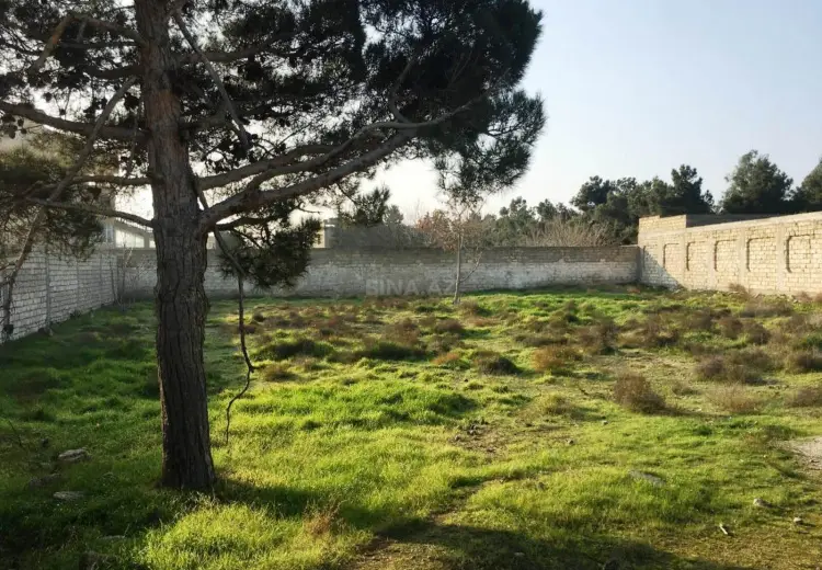 65 sot Torpaq Satılır, Masazır, Abşeron