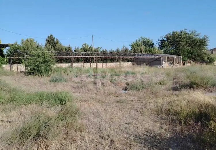 0 m² Obyekt / Ofis , Nardaran qəs., Sabunçu, Bakı