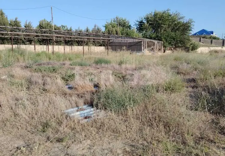 0 m² Obyekt / Ofis , Nardaran qəs., Sabunçu, Bakı