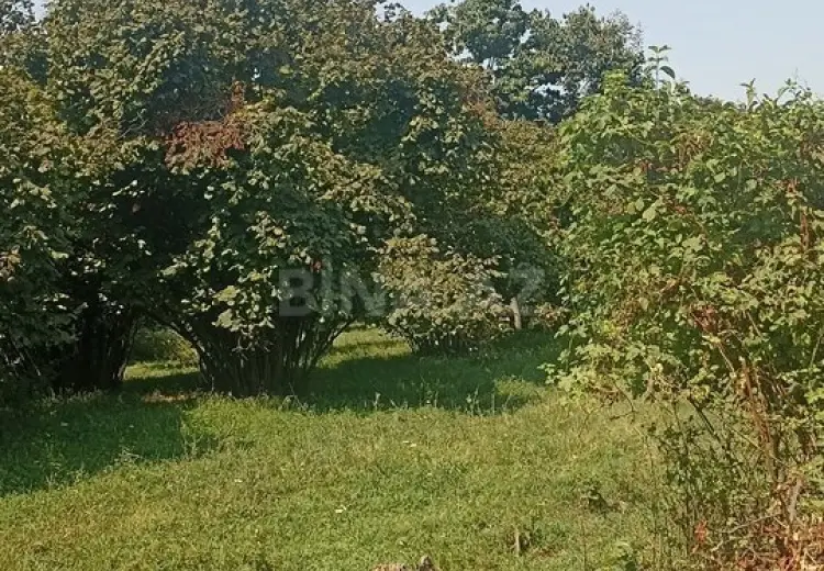 10 sot Torpaq Satılır, Zaqatala
