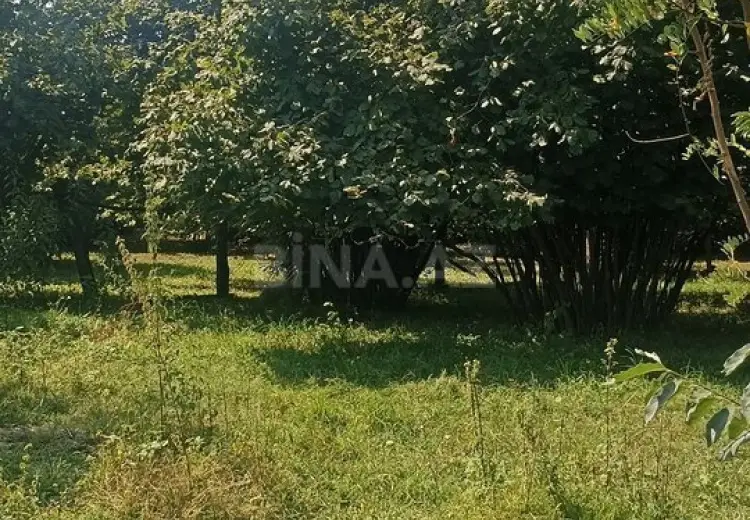 10 sot Torpaq Satılır, Zaqatala