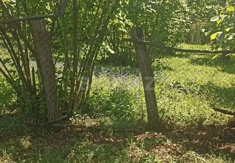 10 sot Torpaq Satılır, Zaqatala