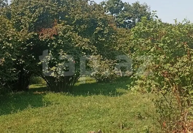 0 m² Obyekt / Ofis , Zaqatala