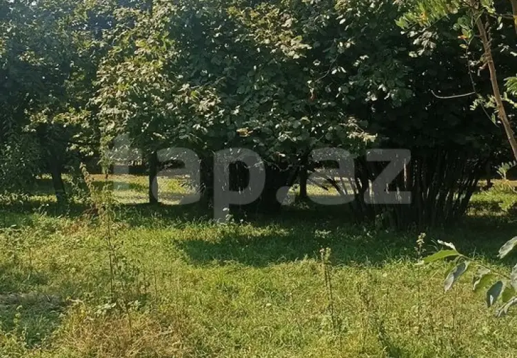 0 m² Obyekt / Ofis , Zaqatala
