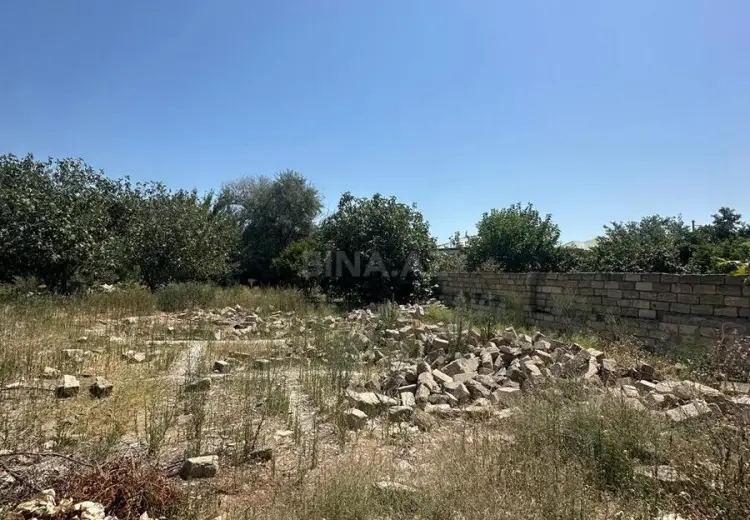 10 sot Torpaq Satılır, Saray, Abşeron
