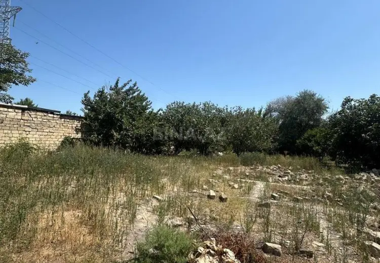 10 sot Torpaq Satılır, Saray, Abşeron