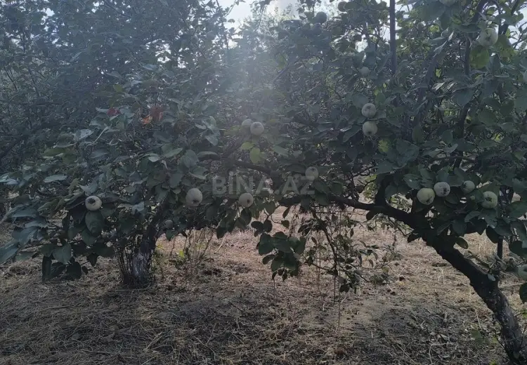 2 sot Torpaq Satılır, Novxanı, Abşeron
